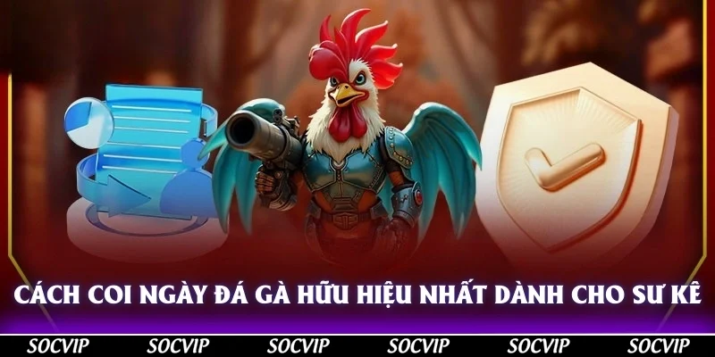 Cách coi ngày đá gà hữu hiệu nhất dành cho sư kê