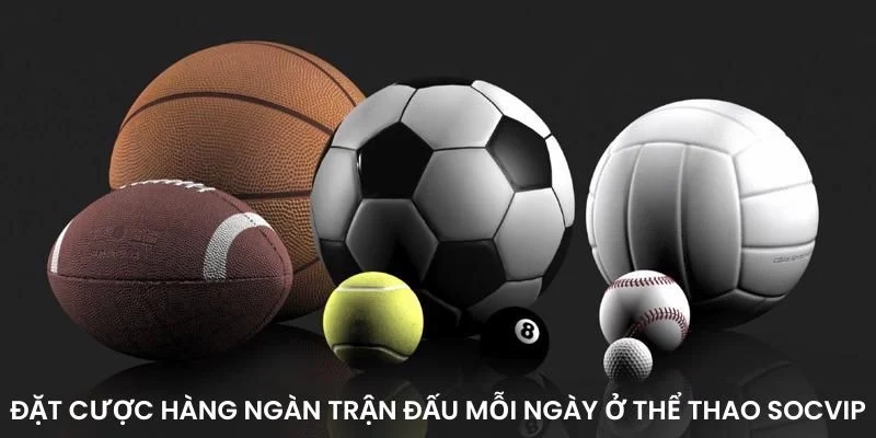 Đặt cược hàng ngàn trận đấu mỗi ngày ở thể thao Socvip