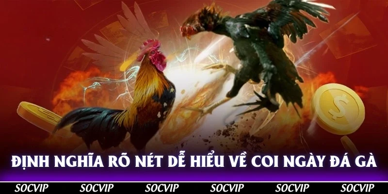 Định nghĩa rõ nét dễ hiểu về coi ngày đá gà