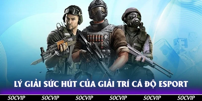 Lý giải sức hút của giải trí cá độ Esport