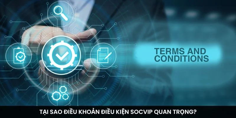 Tại sao điều khoản điều kiện Socvip quan trọng?
