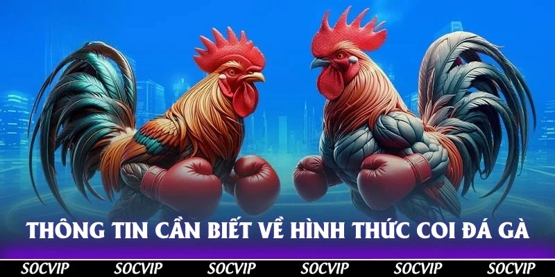 Thông tin cần biết về hình thức giải trí coi đá gà