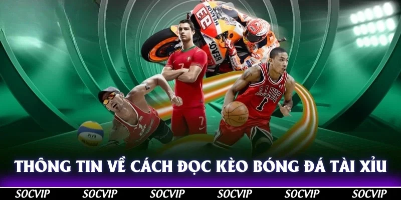 Thông tin cần biết về cách đọc kèo bóng đá tài xỉu